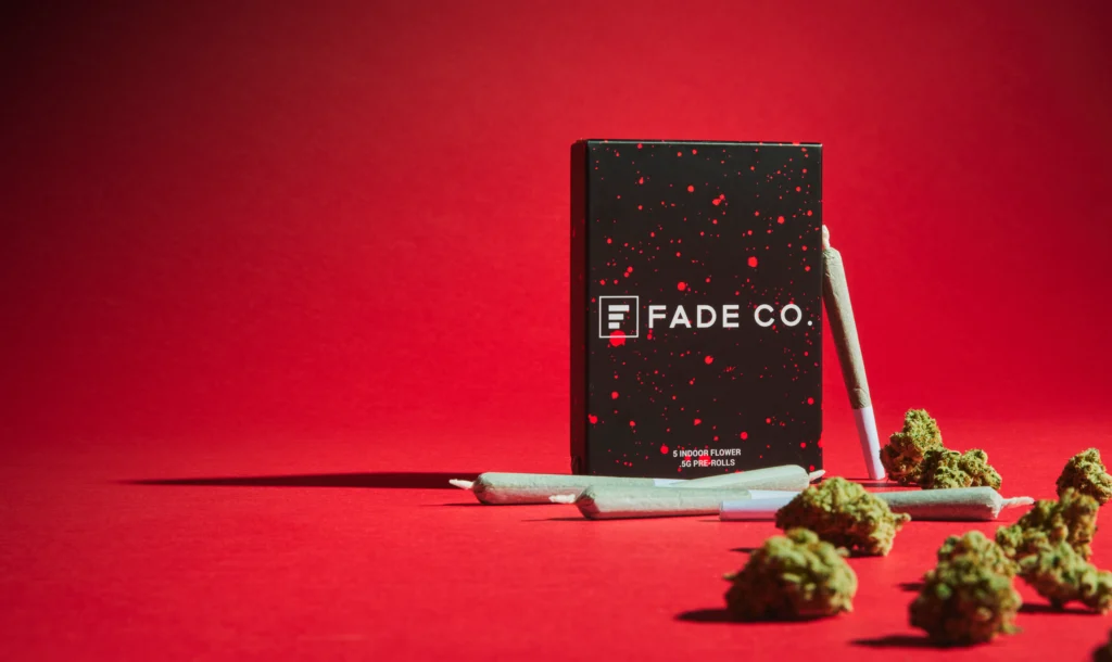 2024 30 05 Story Studio0649 E 1 2 copy