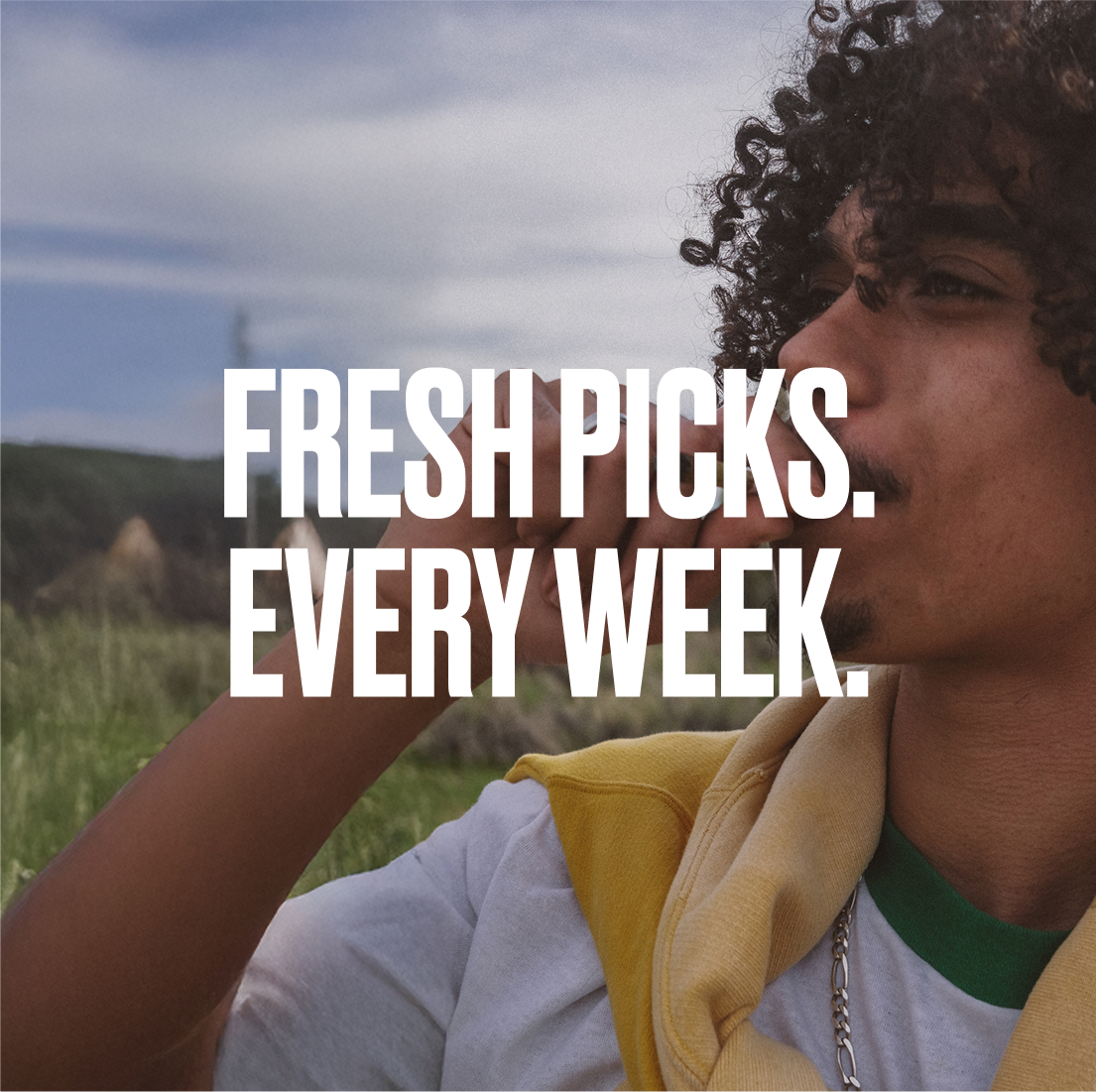 FRESH-PICKS-SQUARE.webp