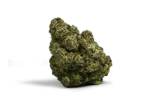 A close-up photo of a dense Super Boof cannabis bud, showcasing its tightly packed structure, bright green hues, and frosty trichomes against a plain white background.