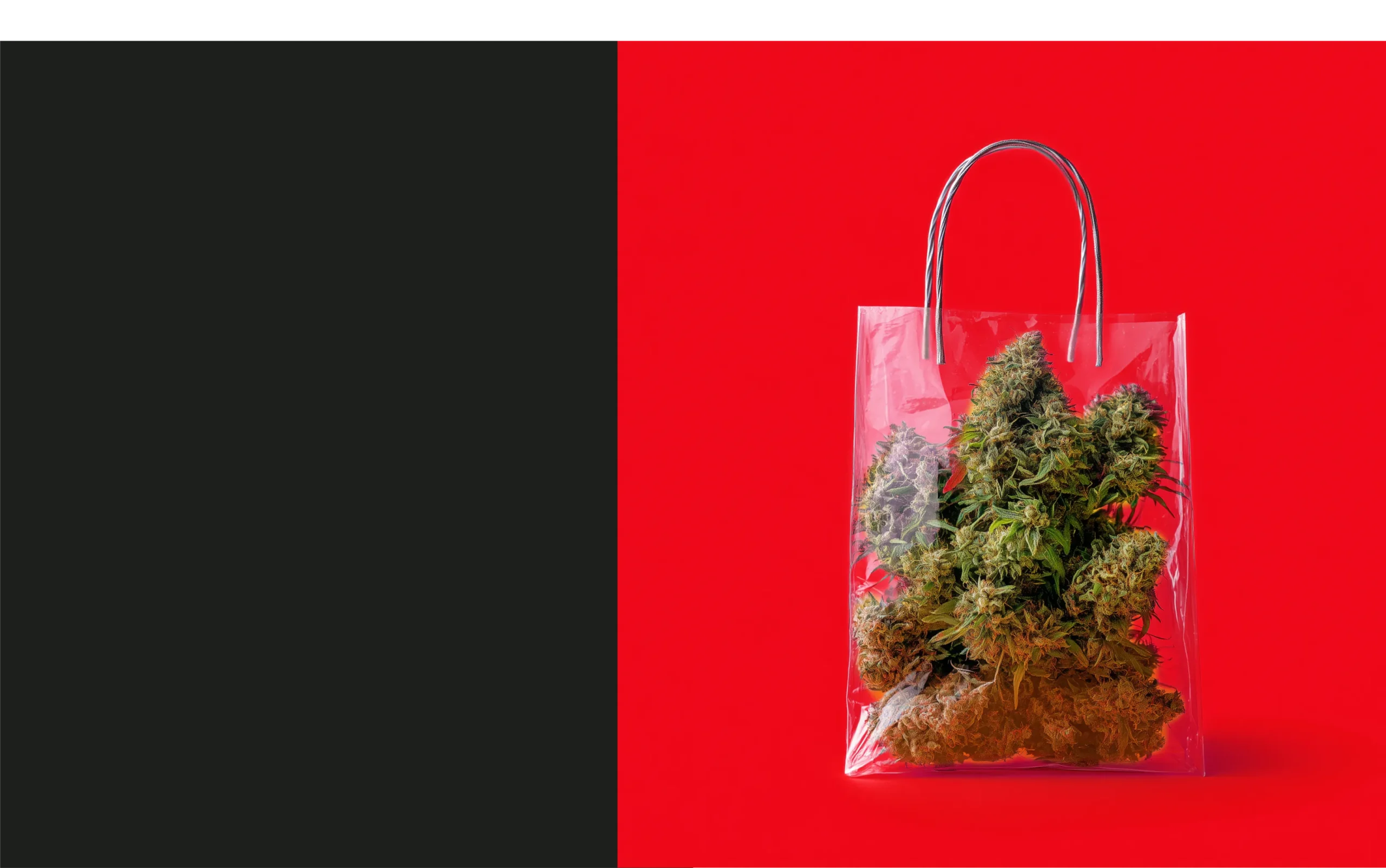 DEC 2025 Homepage AZMD scaled