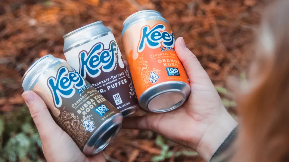 Skip the Smoke: Discreet Cannabis for Family Gatherings 5 Hands hold three cans of Keef Cola