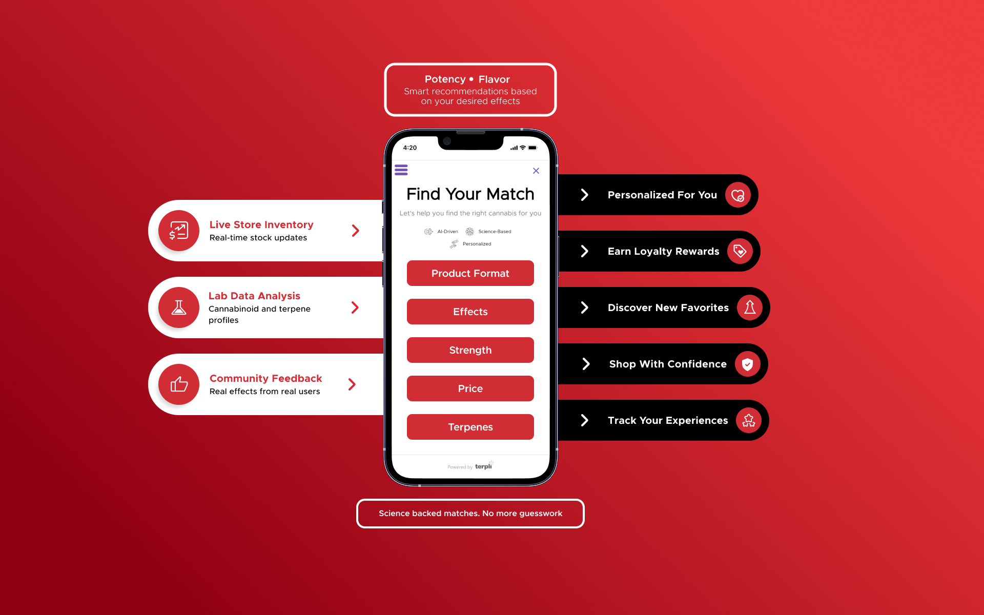 How it Works Infographic Terpli x Story Cannabis