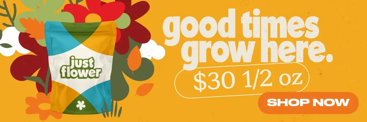 Colorful floral design with promotional text for Just Flower