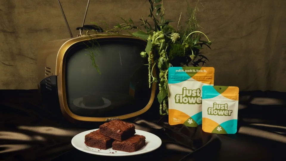 vintage styled image of Just Flower bags with infused brownies, set in front of a vintage TV and dark olive backdrop