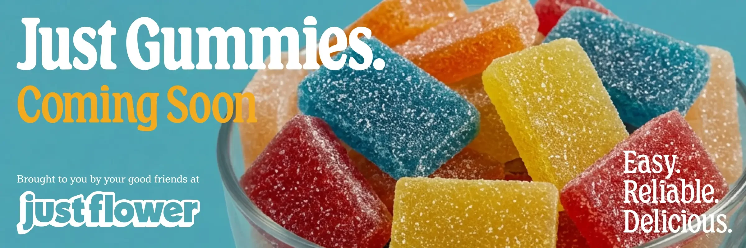 Just Flower Gummies Coming Soon Web Hero Banner 2400x800 Just Flower Gummies Coming Soon Web Banner