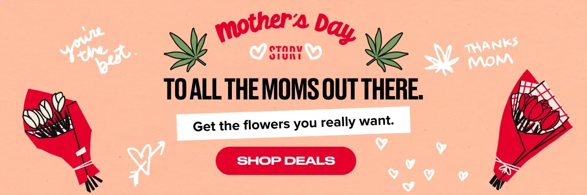 Mothers Day Banner Asset