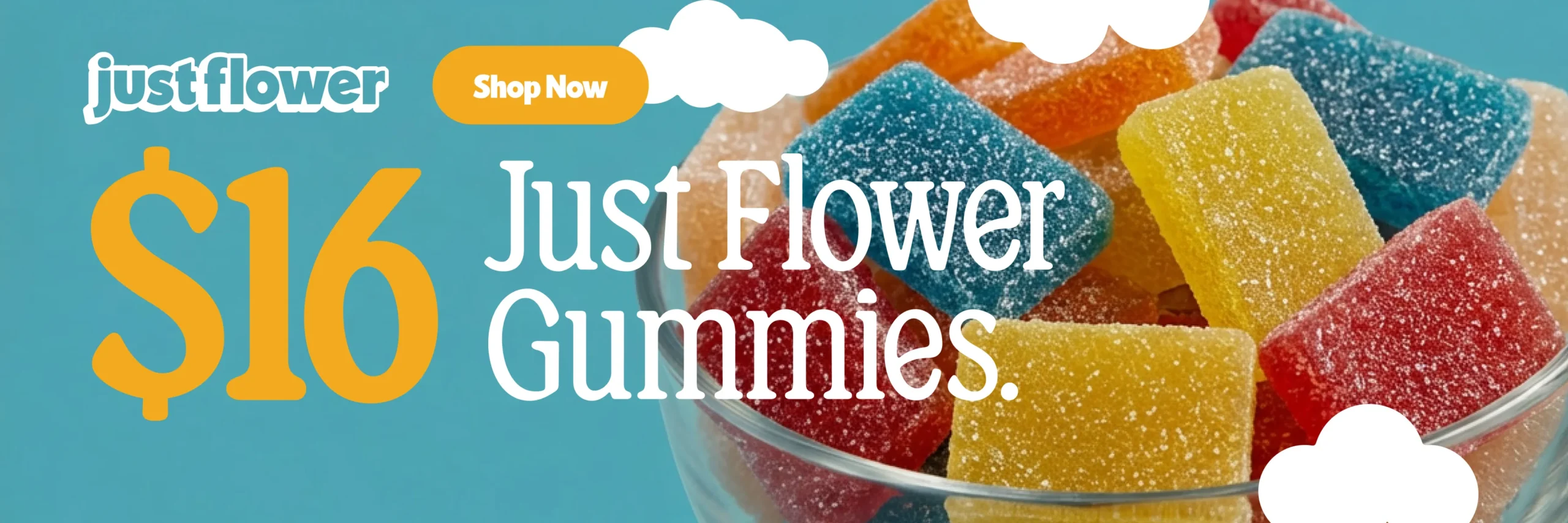 Web Banners Just Flower $16 2400x800