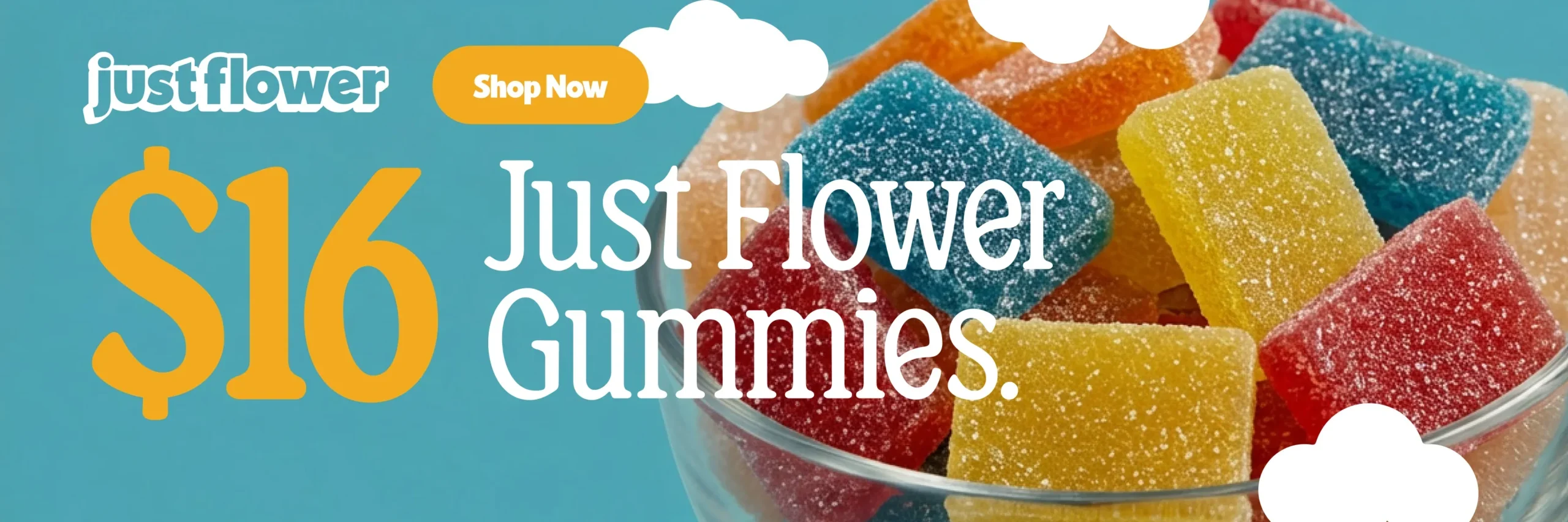 Web Banners Just Flower 16 2400x800 scaled 3