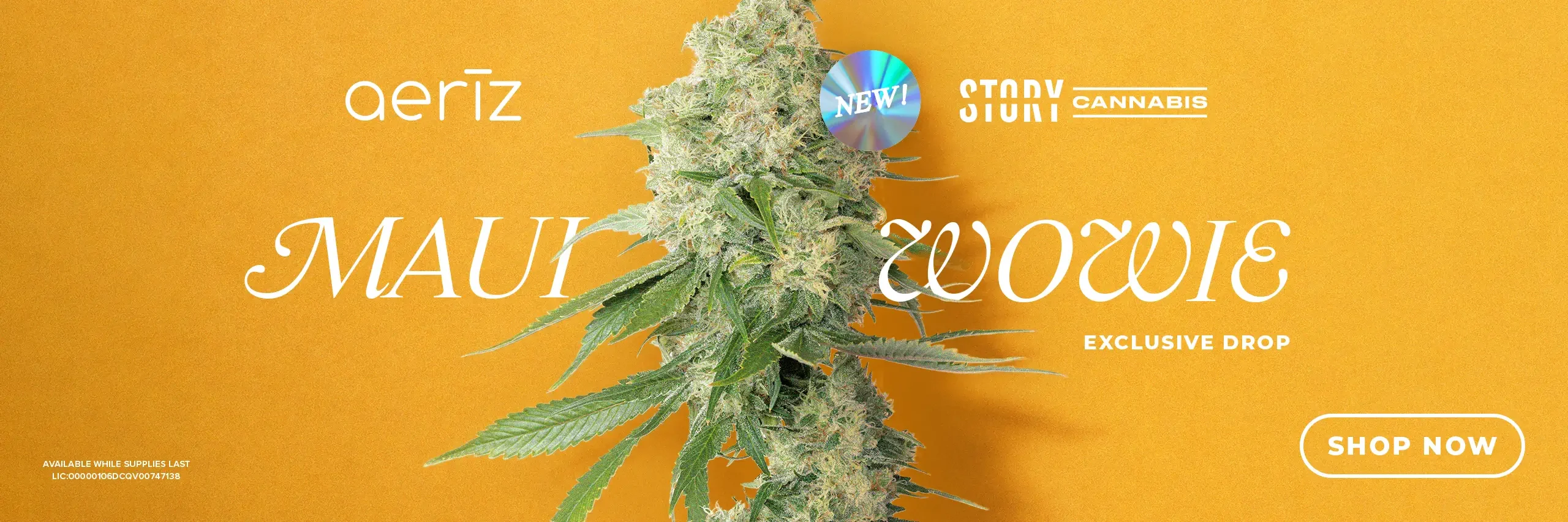yellow banner with a cola shot of the maui wowie strain from aeriz